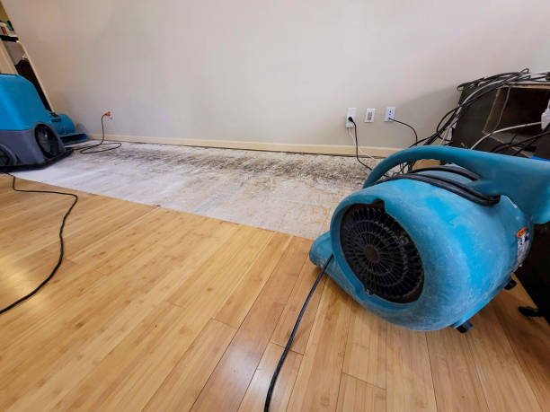 Professional Sewage Cleanup technician working in Flat Rock, NC